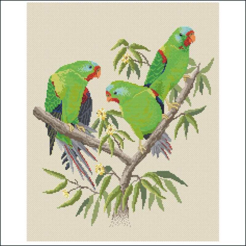 Swift Parrots counted cross stitch chart or kit by Maureen Maguire